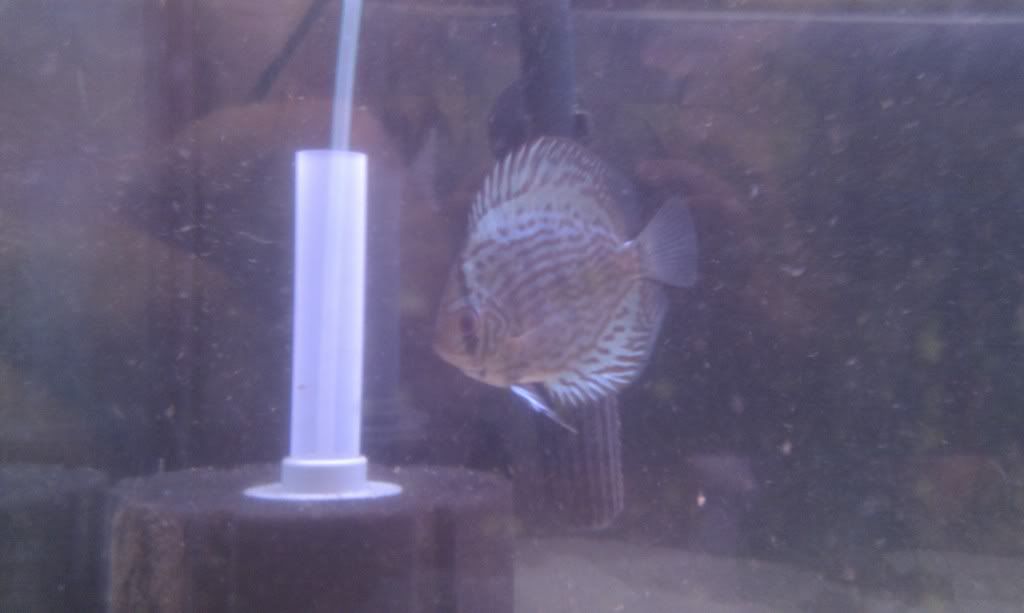 IMAG0359.jpg
