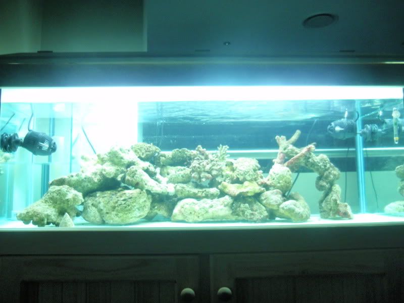 14000kLight.jpg
