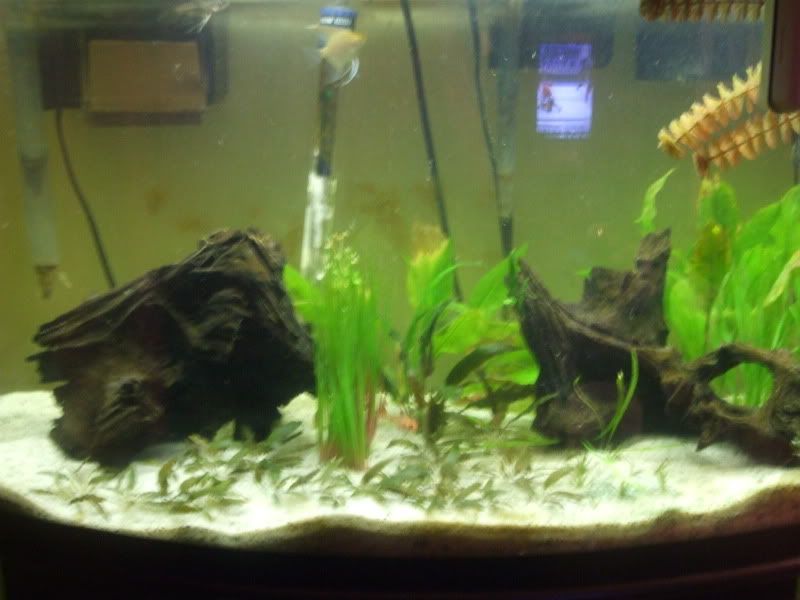 DSCF5596.jpg