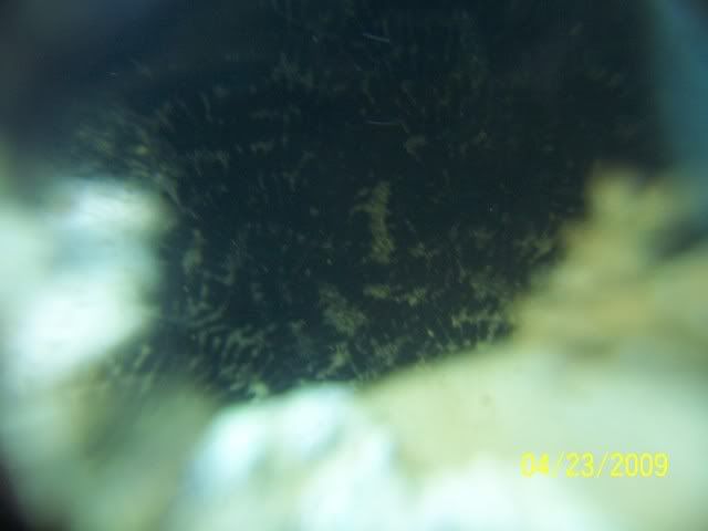 100_5446.jpg
