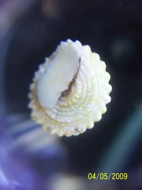 100_5197.jpg