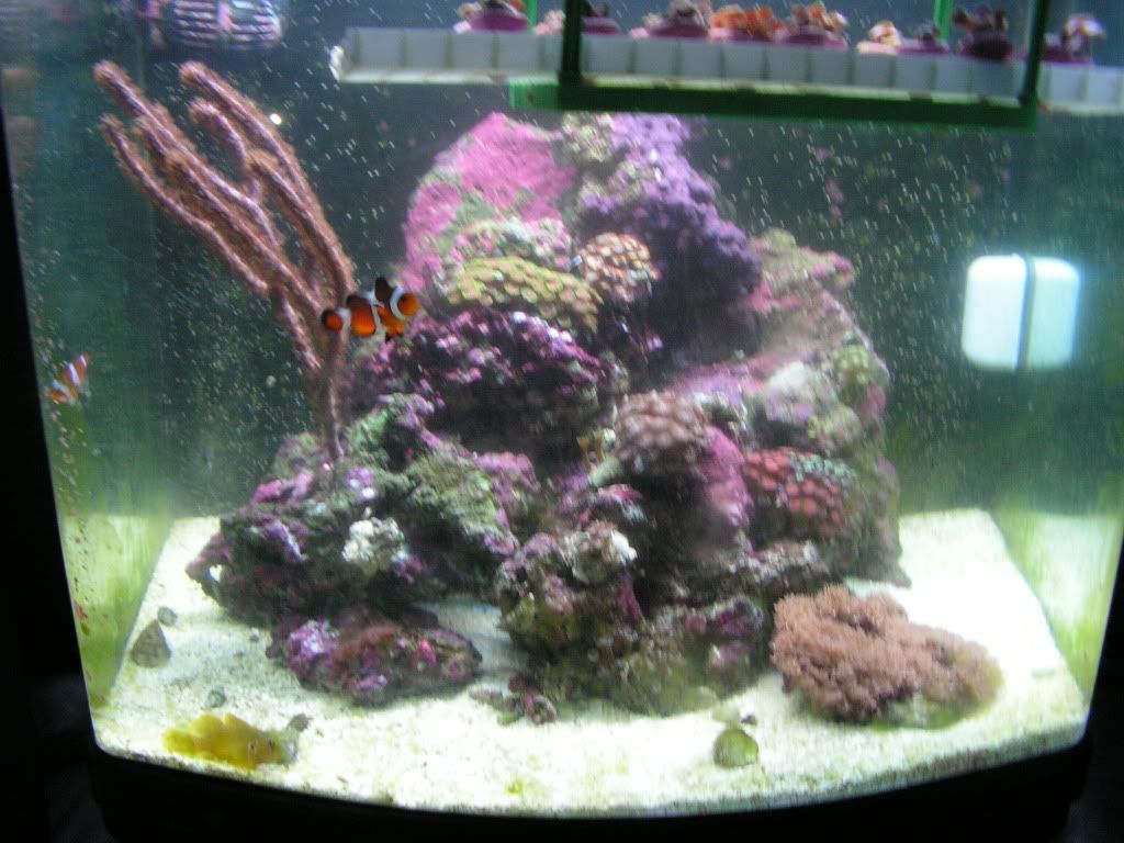 PICT1404.jpg