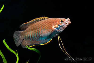 CRW_8438s_960099.jpg
