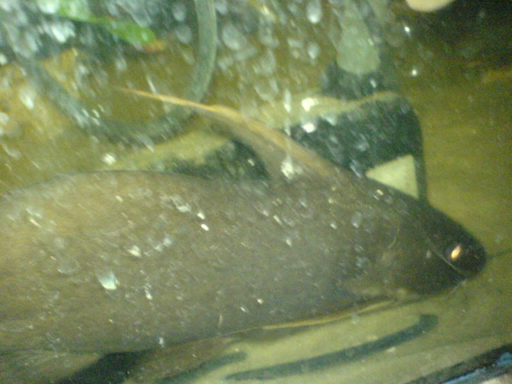 DSC05665.jpg