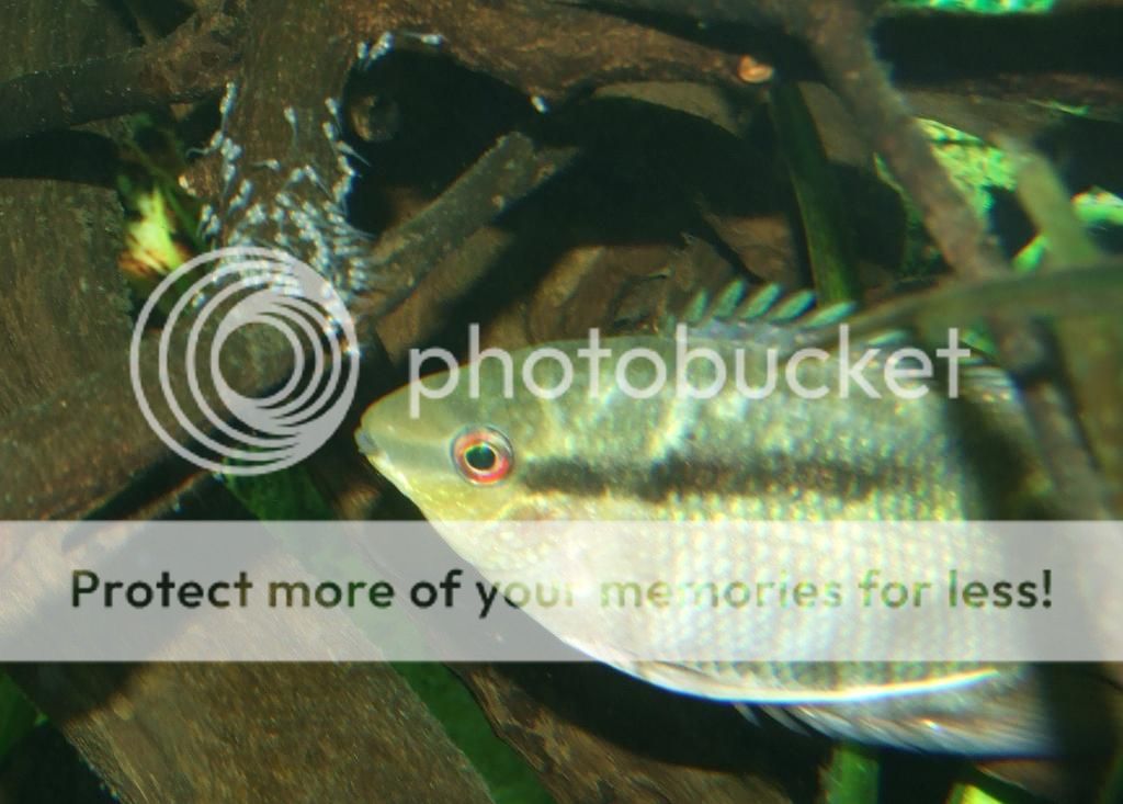 DSCF9377.jpg