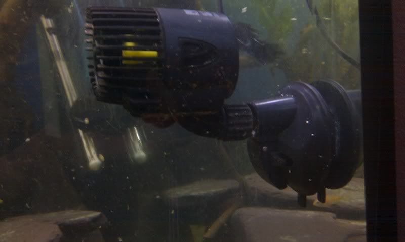 IMAG0873.jpg