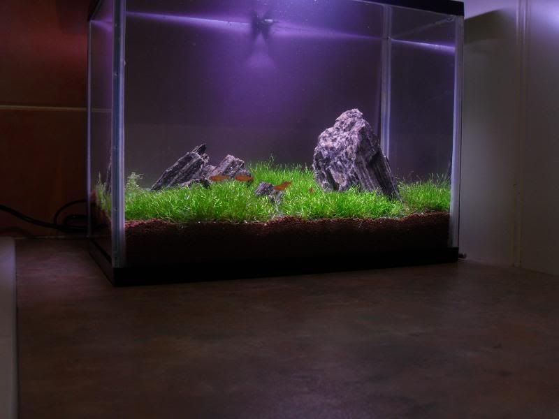 nanobackground3.jpg