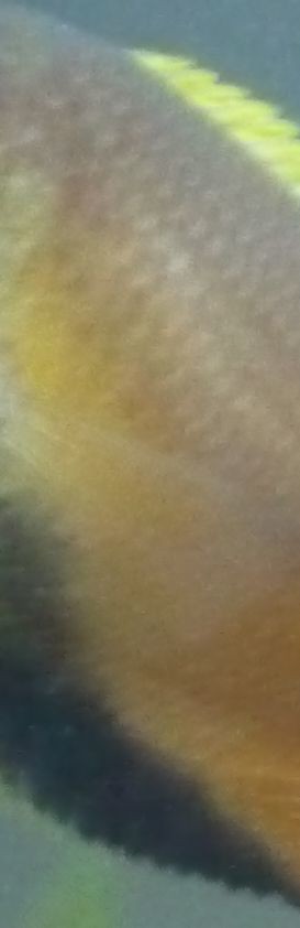 5118307108_edd11e0a50_b.jpg