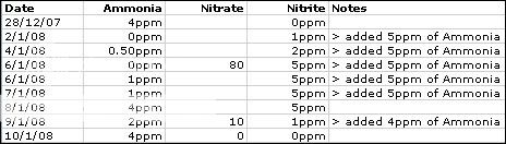 nitro1.jpg