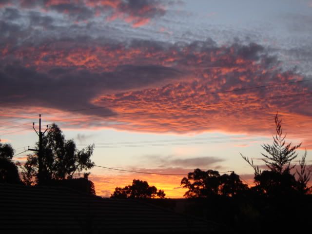 DSC01349.jpg