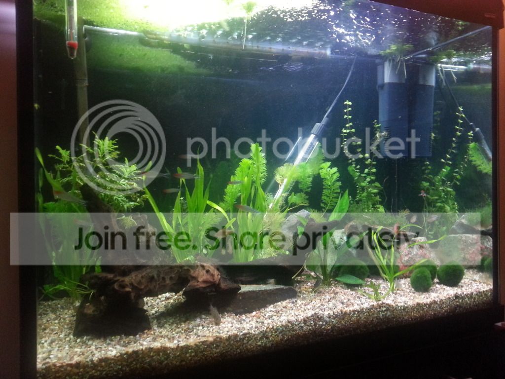 fishtank150712.jpg