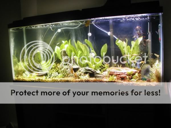 tankupdate3.jpg