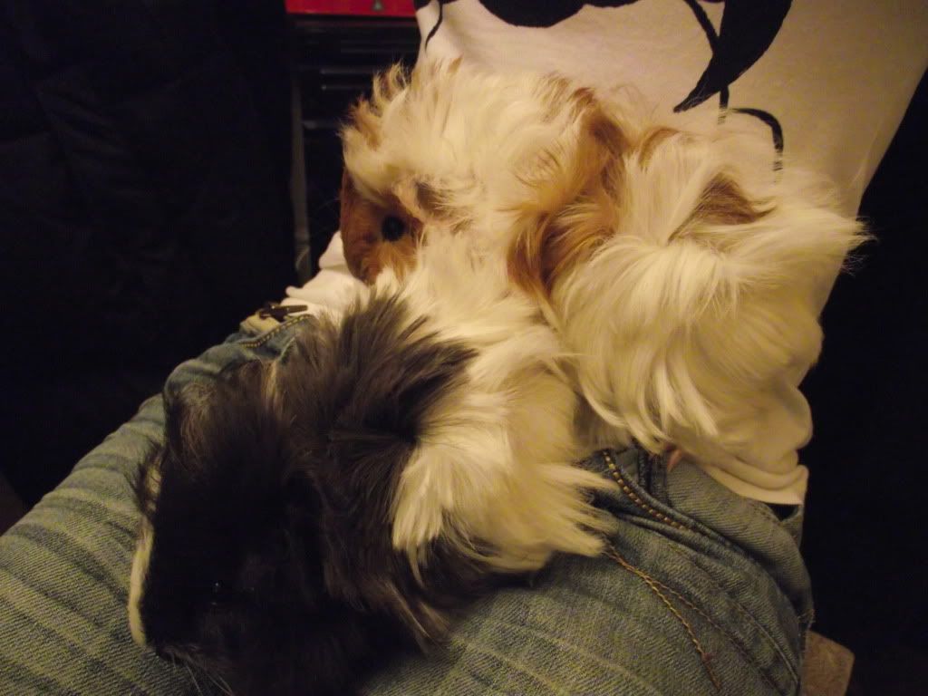 DSCF0686.jpg