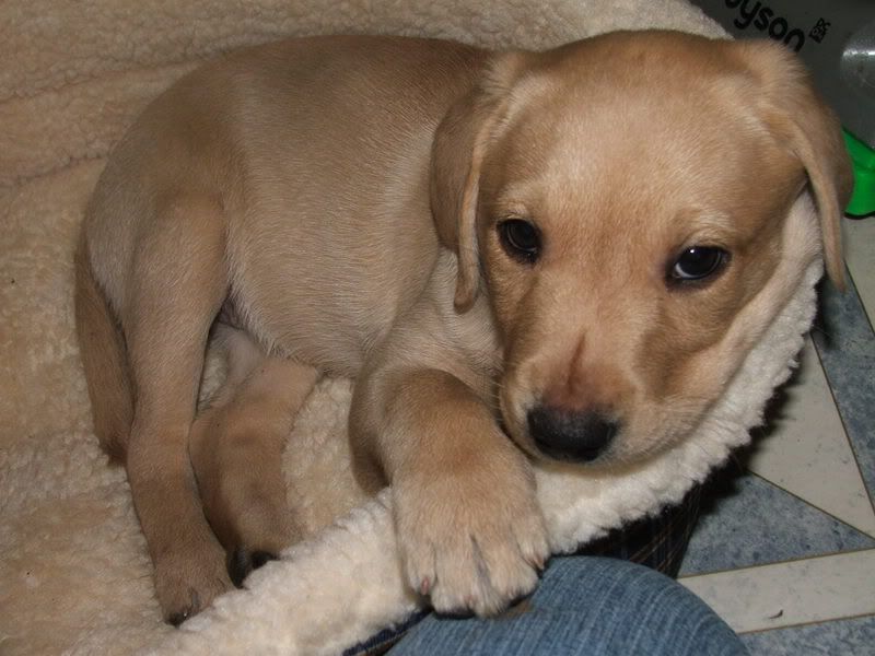 December2006031.jpg
