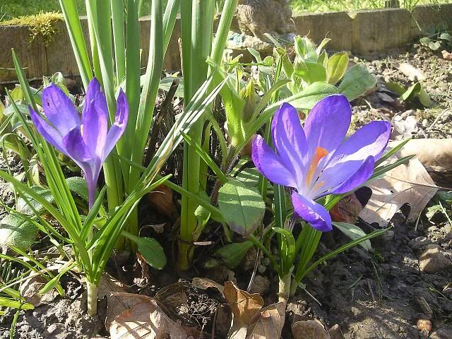 Photo1245.jpg