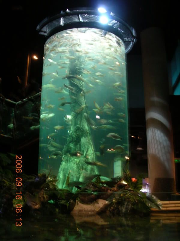 DSCN1146.jpg