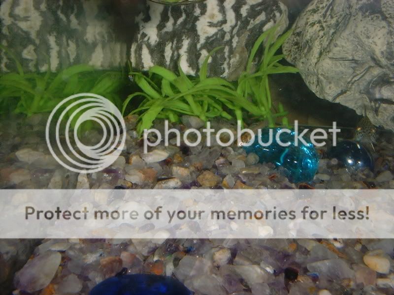DSCF2019.jpg