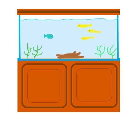 fishta12.jpg