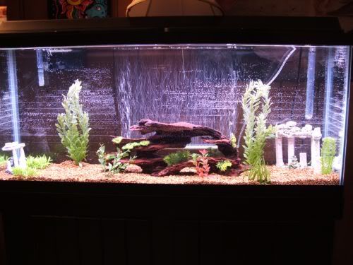 55gallon006.jpg