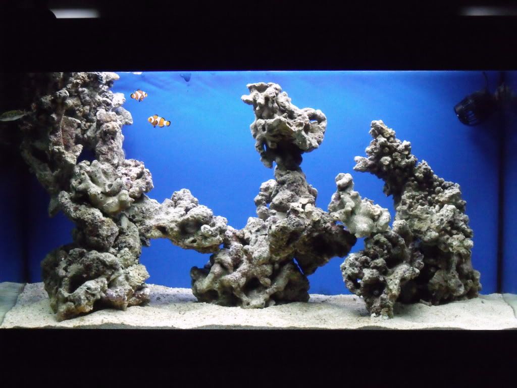 DSCF1735.jpg