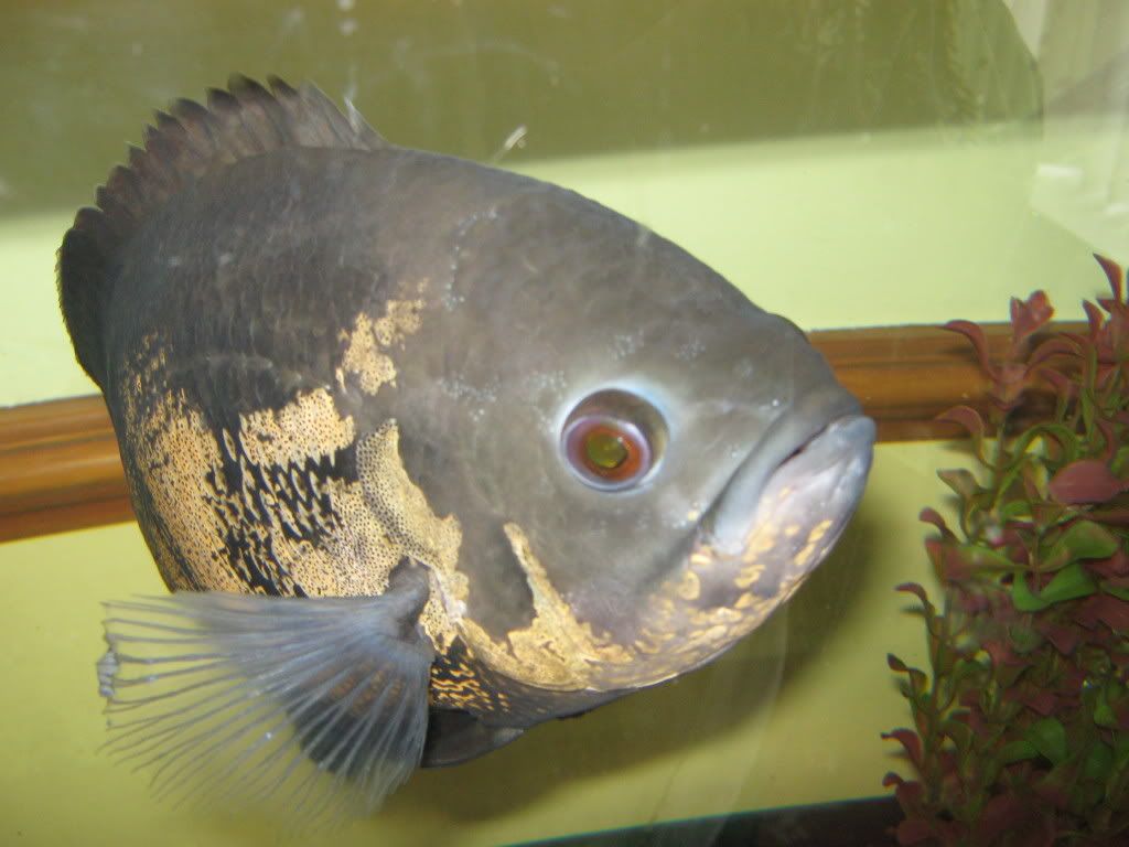 005-18.jpg