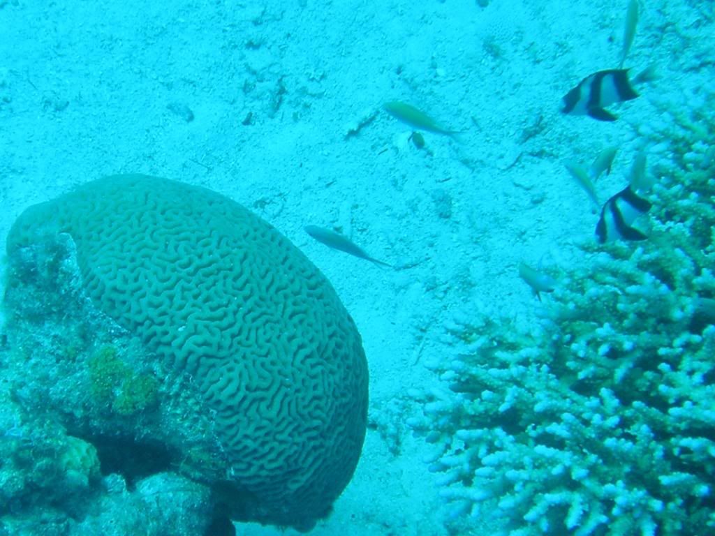 P1010112x.jpg
