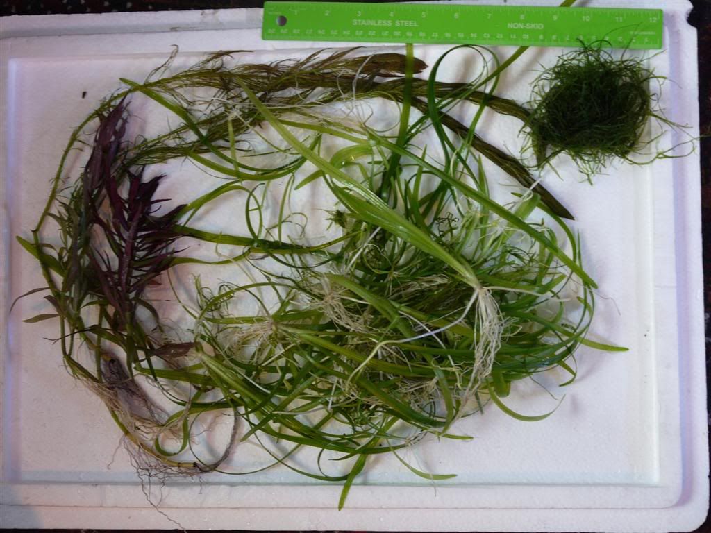 P1090596Large.jpg