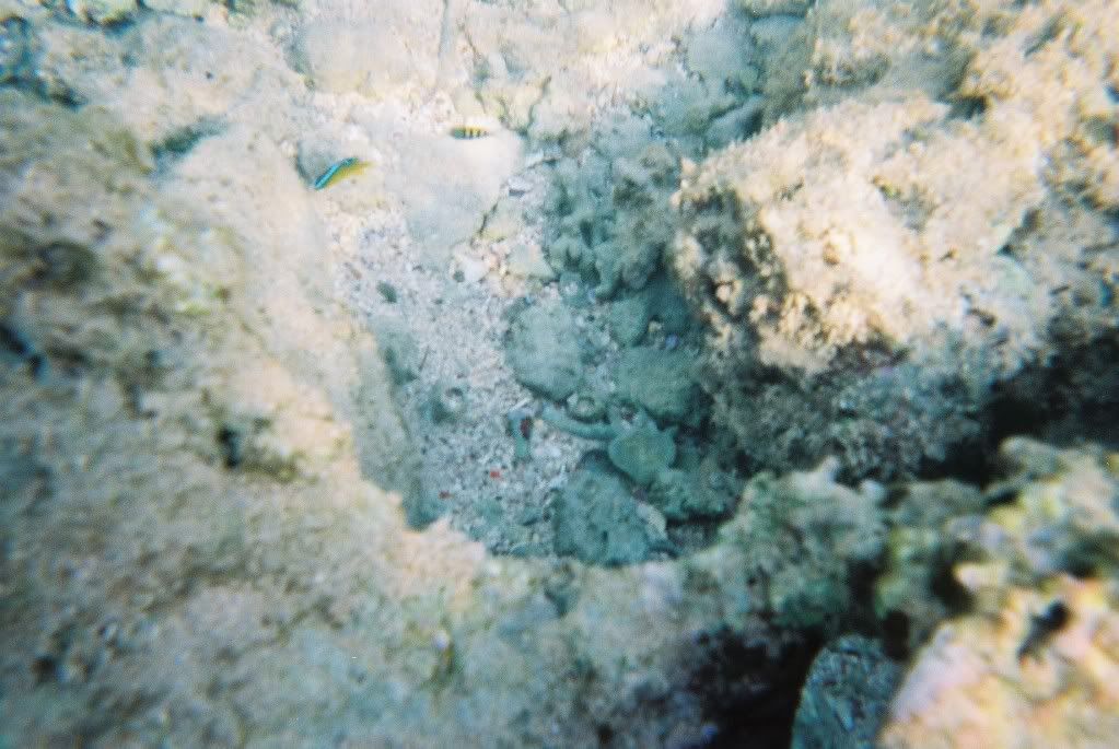 CNV00024-1.jpg