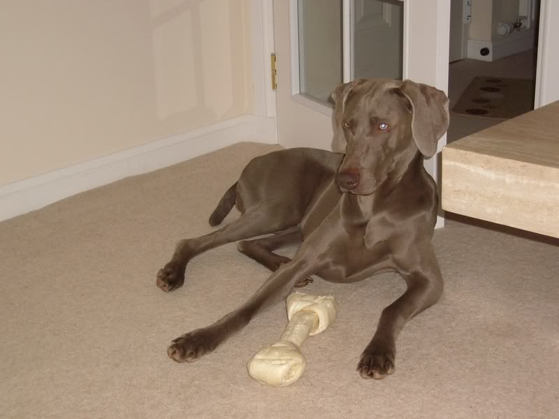Amber2007032.jpg