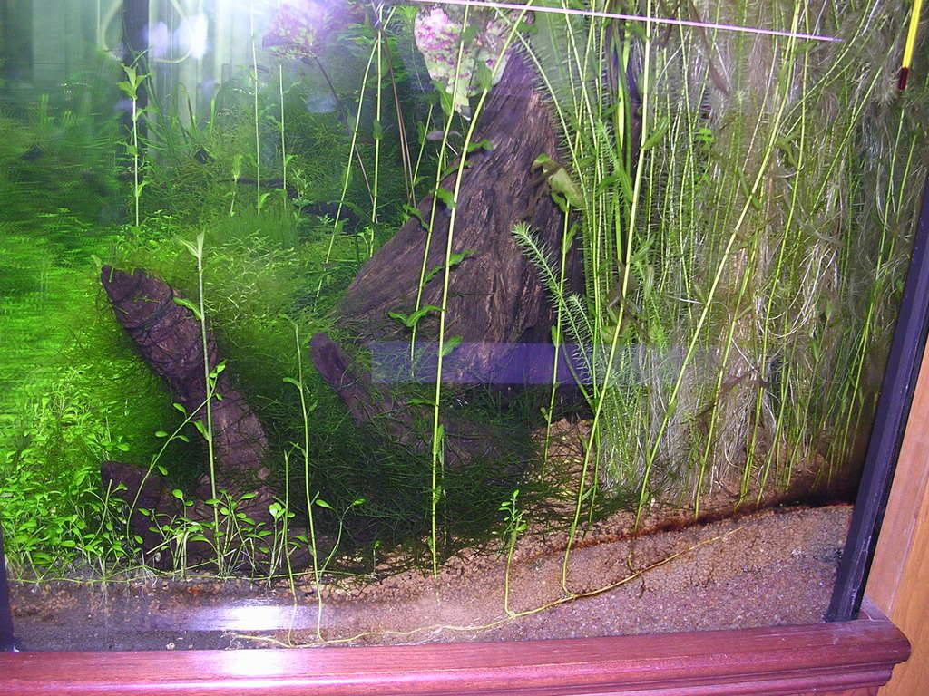 DSCN3074.jpg