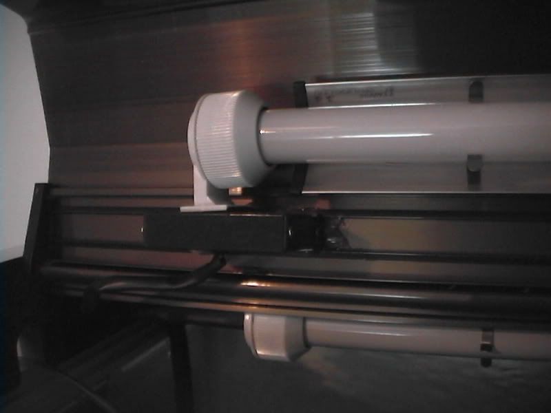 DVC01824.jpg