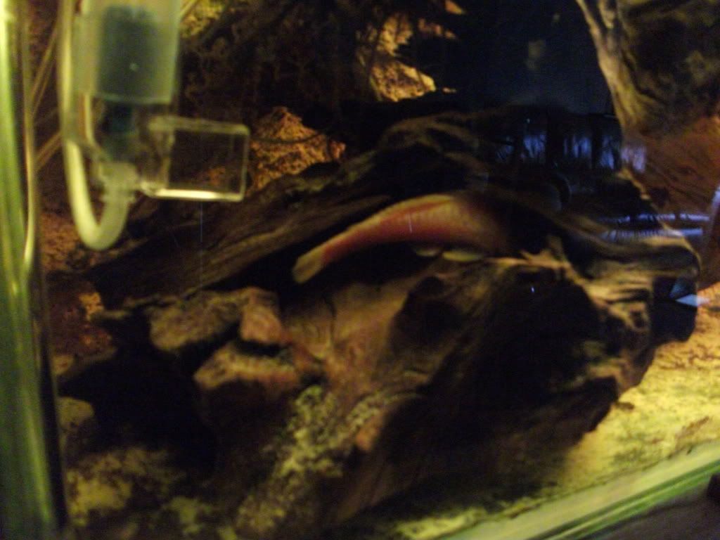 DSCF0527.jpg
