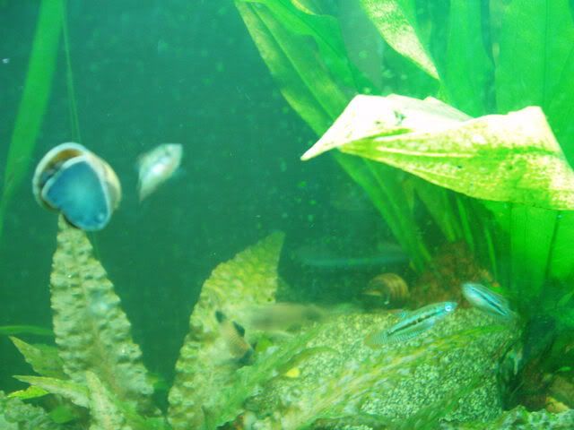 P1010346.jpg