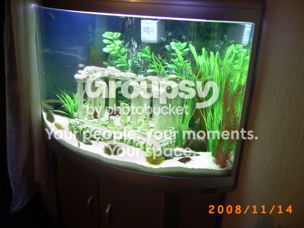 PICT0054.jpg