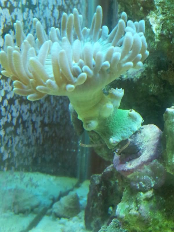 20120225_135431.jpg