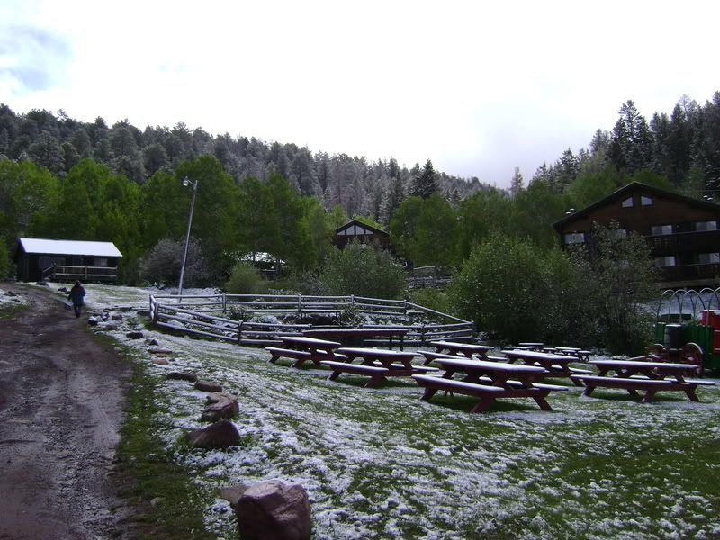 DSC02216.jpg