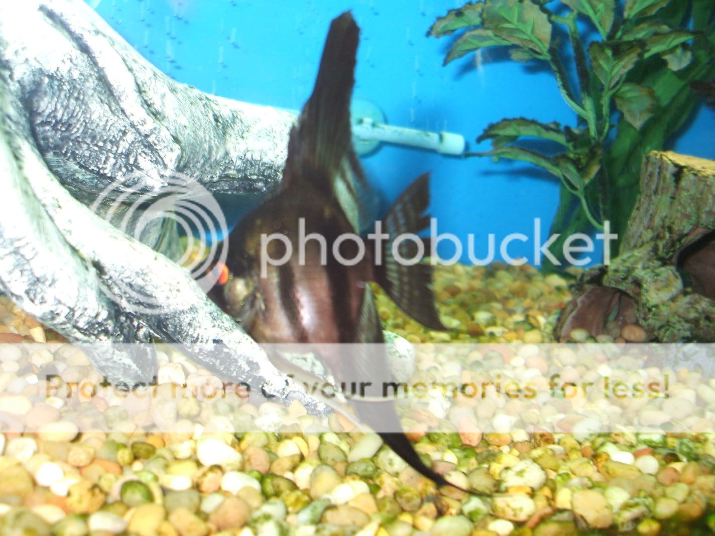batchloretteparty-031.jpg