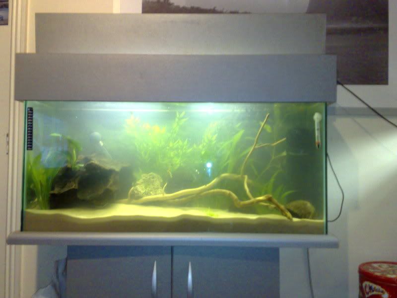02032008533.jpg
