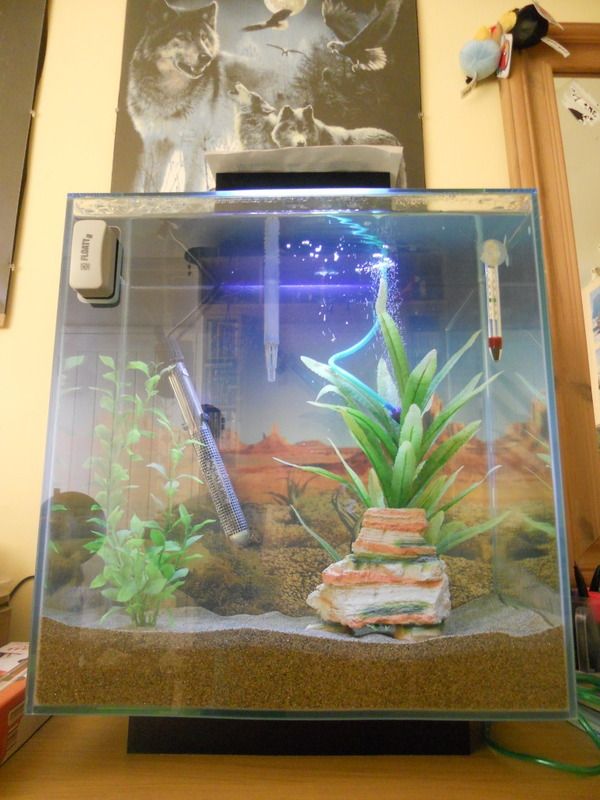 DSCN2098.jpg