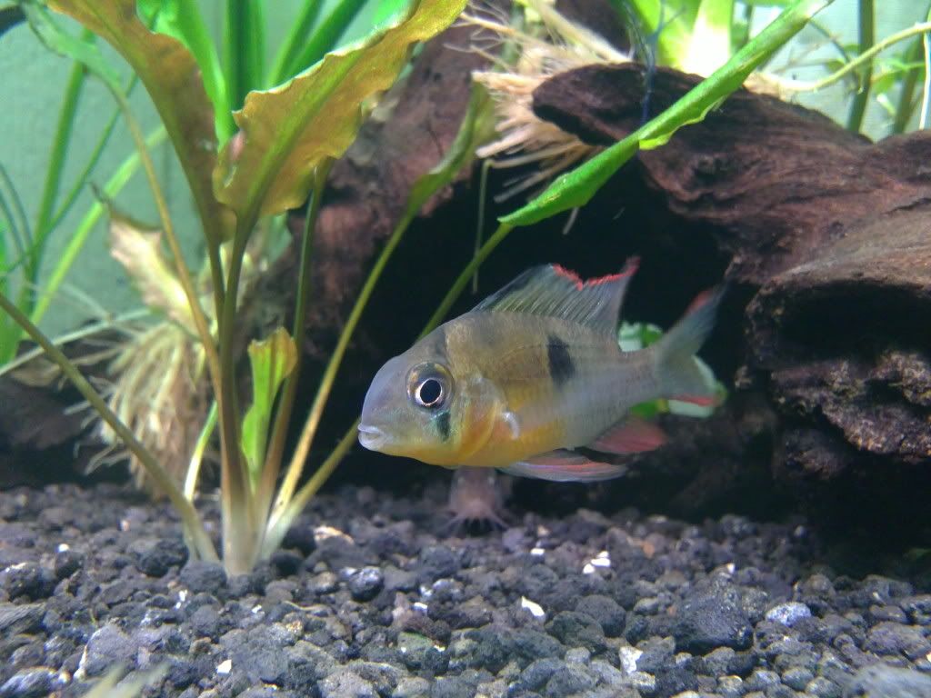 29102011181.jpg