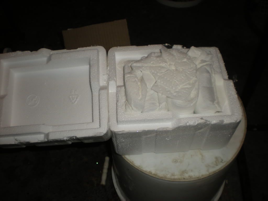 DSCN2256.jpg