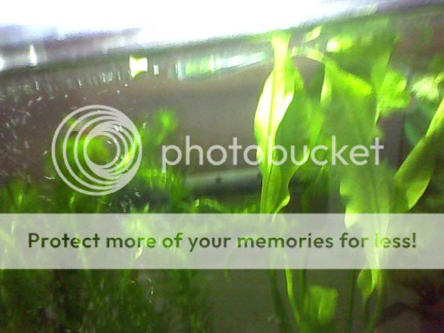 Image_00049-1.jpg