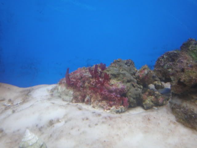 P1070010.jpg