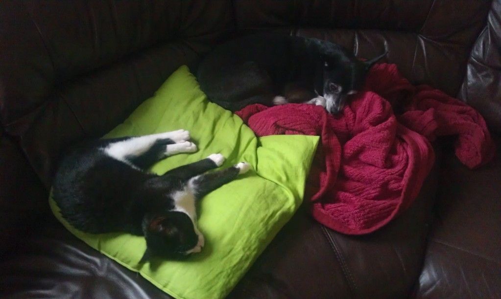 2012-07-17201652.jpg