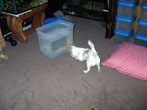 DSCN1908.jpg