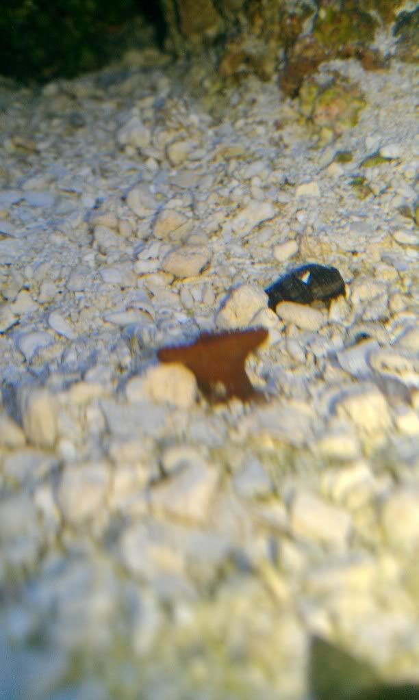 IMAG0103.jpg