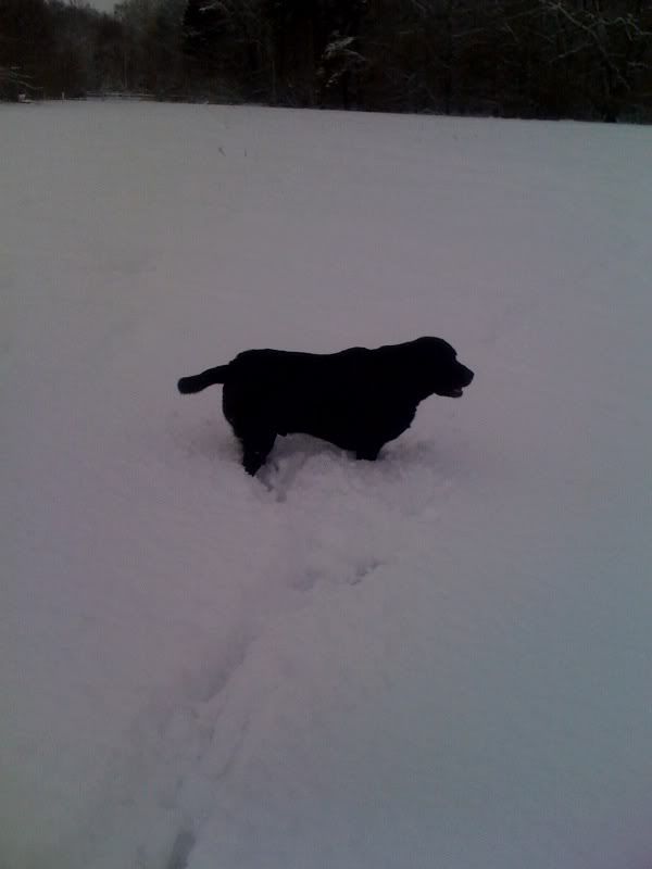snow6.jpg