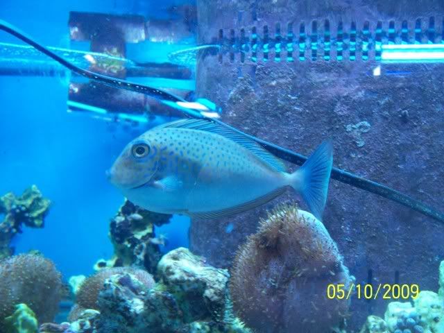 100_6141.jpg