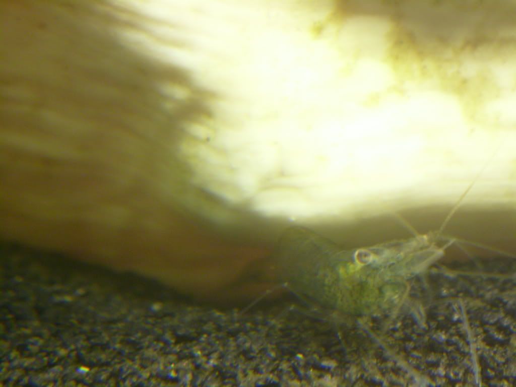 S7002471.jpg