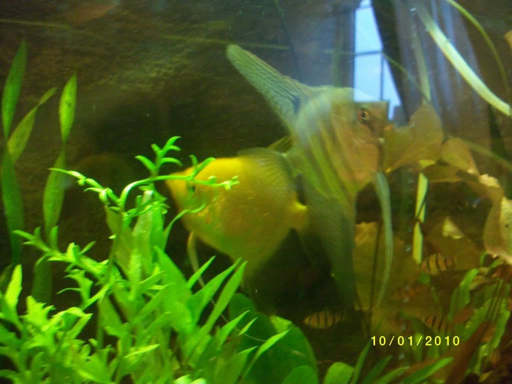 IMGP0336.jpg